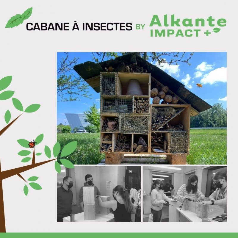 Cabane à insectes by Alkante Impact +